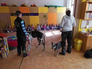 Bezpečný pes - kynologie